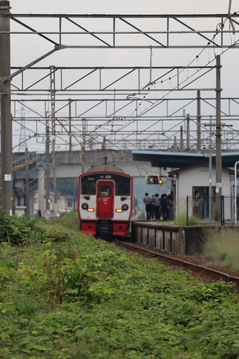 jikko680687's tweet photo. 【今日の815系】2026/6/19(Fri)
1631M普通 大分15:48発 臼杵行き(臼杵16:34着) 815系 NO20編成(分オイ)
※側面安全カメラ取付済み車両
#815系 #NO20 #大分車両センター #JR九州 #日豊本線 #大在駅 #坂ノ市駅 https://t.co/3rVVX1Vple
