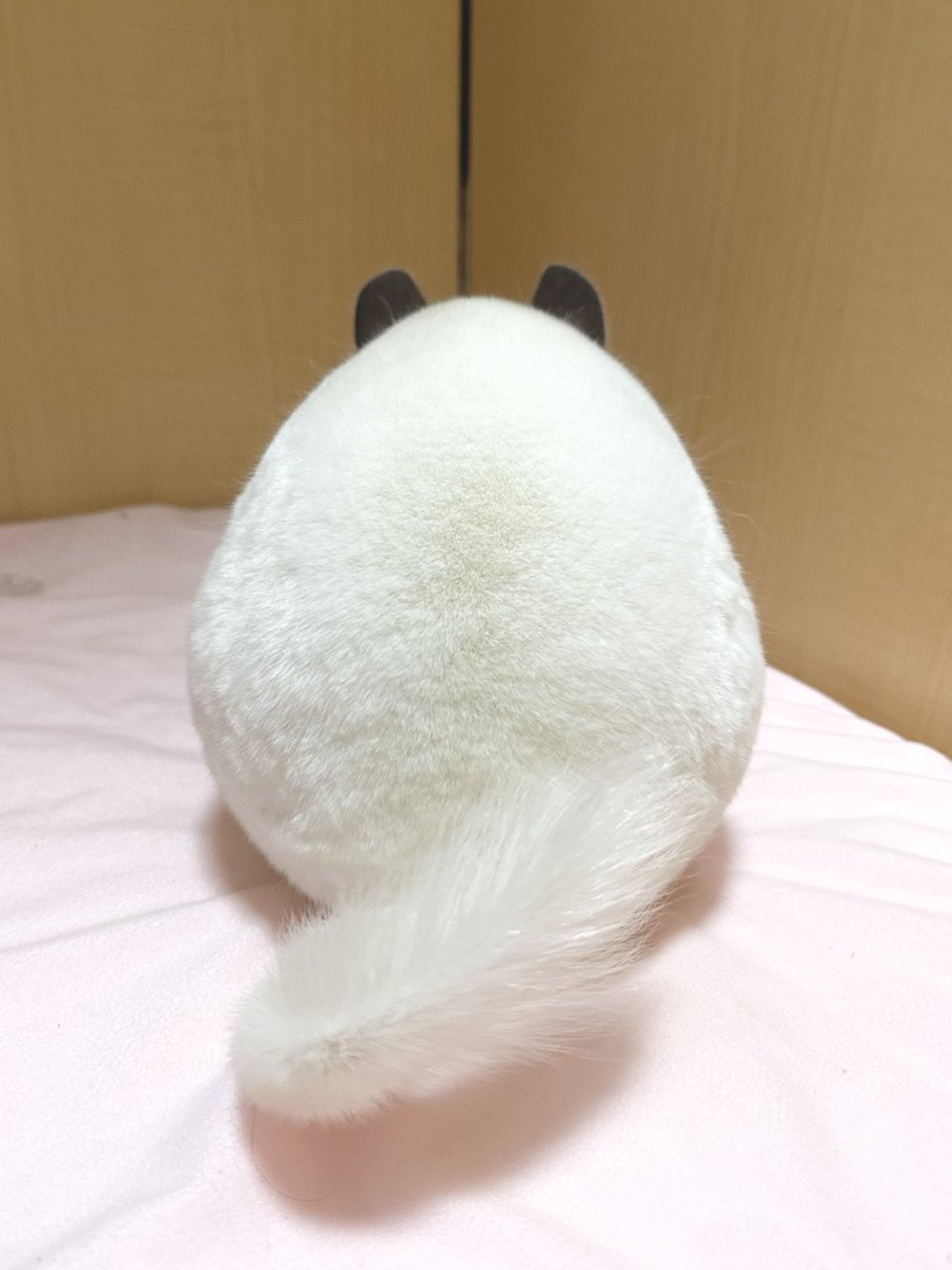 punsuko_2's tweet photo. 耳の生えたおにぎりをどうぞ https://t.co/mU3iBAMtsT