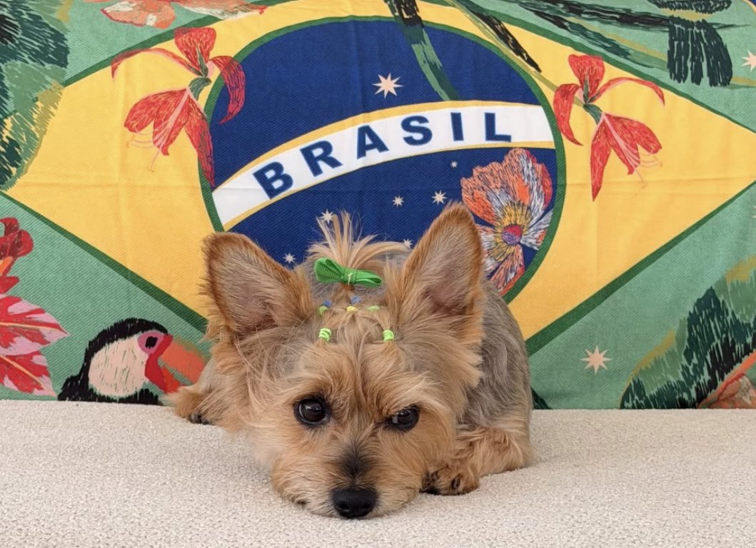 Teresafcarvalho's tweet photo. Não aguento que amorzinha 🥹🤏🏼 https://t.co/pMtA6qz0hp
