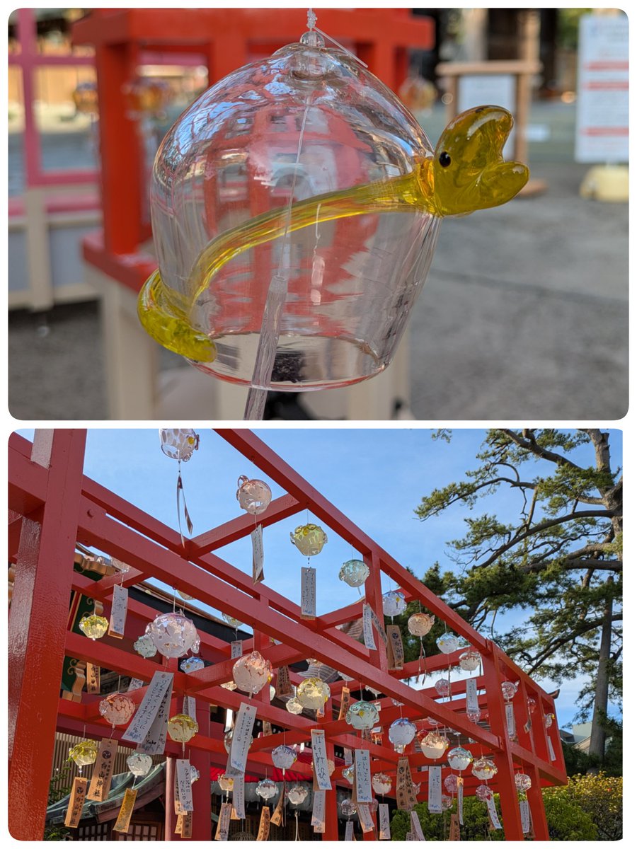 tyms2480's tweet photo. 今年も白山神社の七夕祭りに行って来ました。風鈴の音を浴びてゆっくりお詣りしてめちゃくちゃ癒された🎐 https://t.co/1VXzUiHTgr
