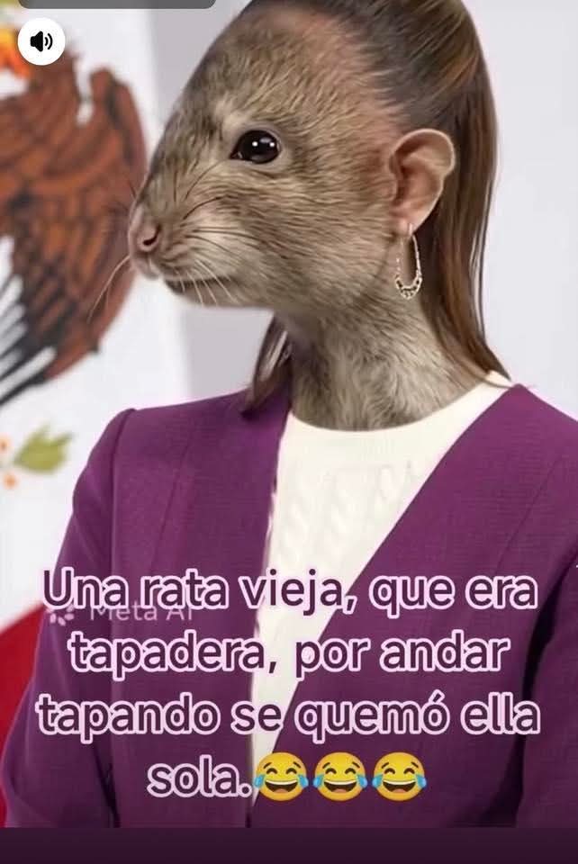 CruiseStalin's tweet photo. @AvseFernando @Claudiashein https://t.co/SKMZiZXe8e
