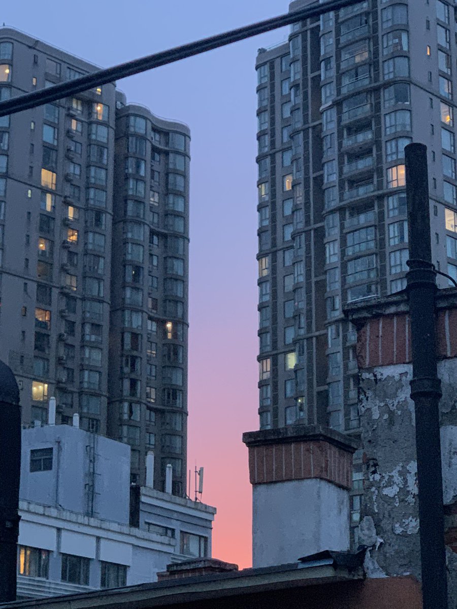 luwuli's tweet photo. 端午节好无聊啊有没有人一起过啊 上海这个雨下吐了 https://t.co/6ubyeheijm