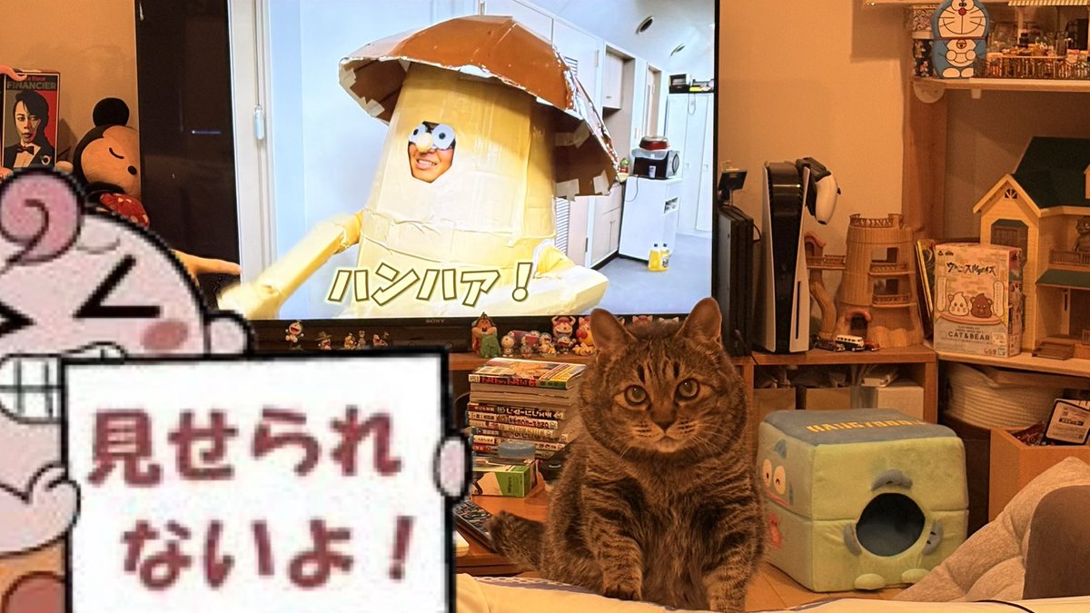 task1129's tweet photo. 遅めのご飯食べだしたら
｢お前、この時間に食うんか？｣
ってめっちゃ見てくる https://t.co/vZLwKW8naP