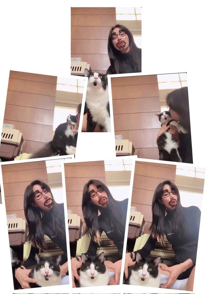 kikagomd's tweet photo. ネコ🐈‍⬛に顔を押し付けて、
グリグリグリぃぃぃーって。
はぁぁぁぁぁ、楽しそう https://t.co/s0cAXhulVh