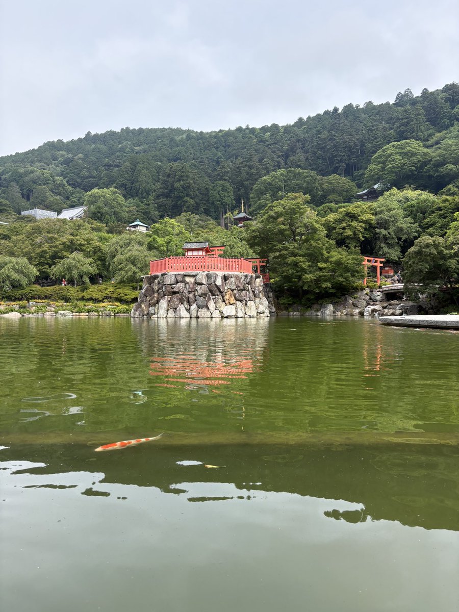justonestep2025's tweet photo. @chriz31_07 Where water flows, the mind follows⛩️🐟

A peaceful corner of Japan, where reflections and stillness meet.

#FlowFriday #QuietMoments https://t.co/Bh1hBeAfMP