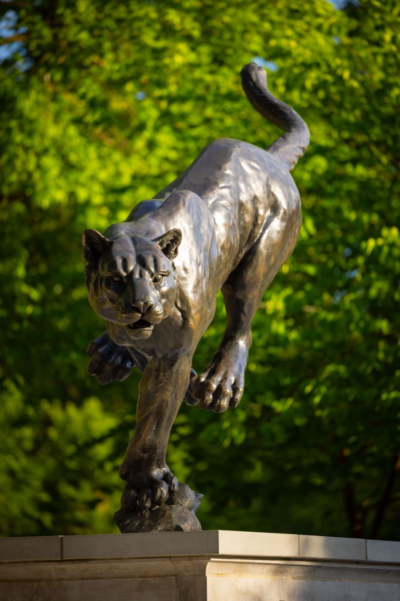 Drury University tweet media