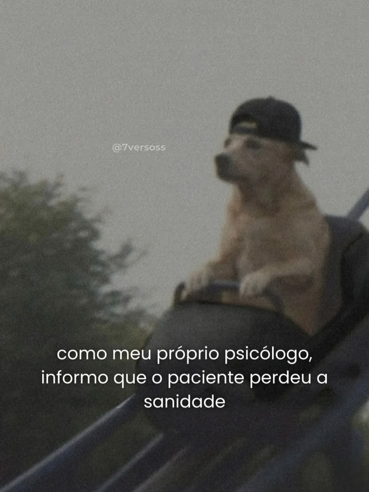 inspireipoesia's tweet photo. https://t.co/rTJzU8ycPK