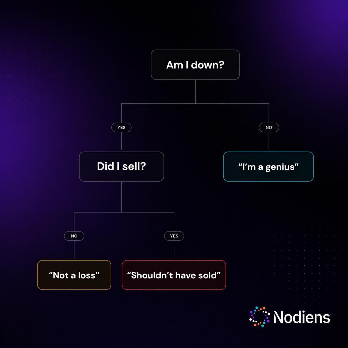 Nodiens tweet media
