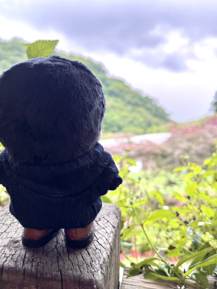 coanyto's tweet photo. 同場加映 😌 https://t.co/4PK2Q7ZMjb