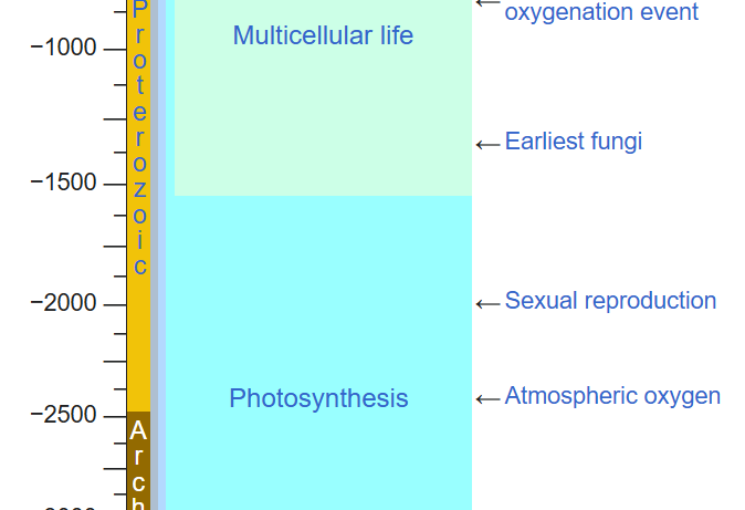 AWLS49's tweet photo. Sex is over 500 million years older than mushrooms https://t.co/Spf27RSC0a