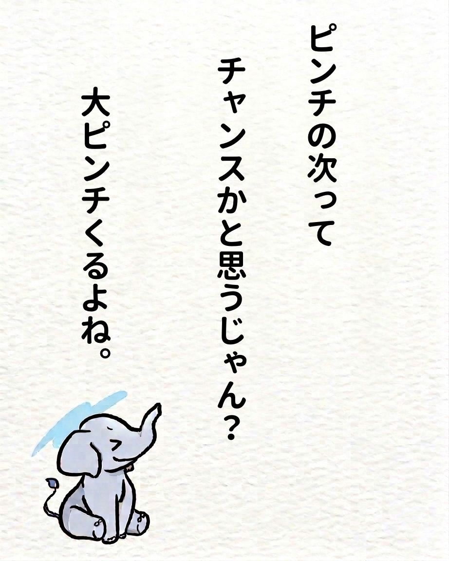 ぱぱぞう tweet media