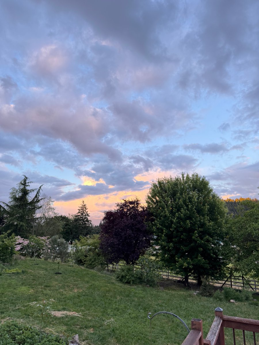 aspiringpeasant's tweet photo. Have you noticed how magical the sky can be? https://t.co/1qG1MVrOHH