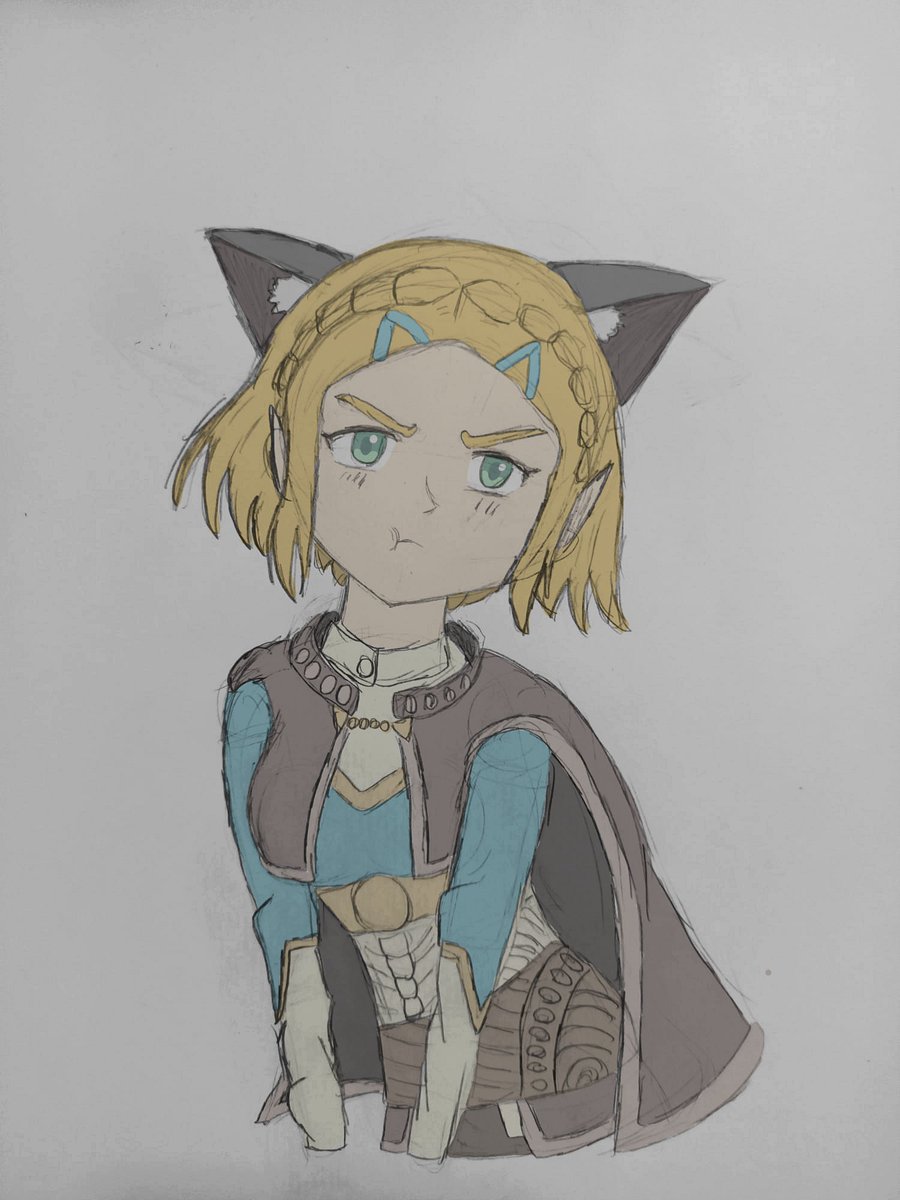 55servantofgod's tweet photo. Zelda with cat ears 😾 https://t.co/akkkIApDaz