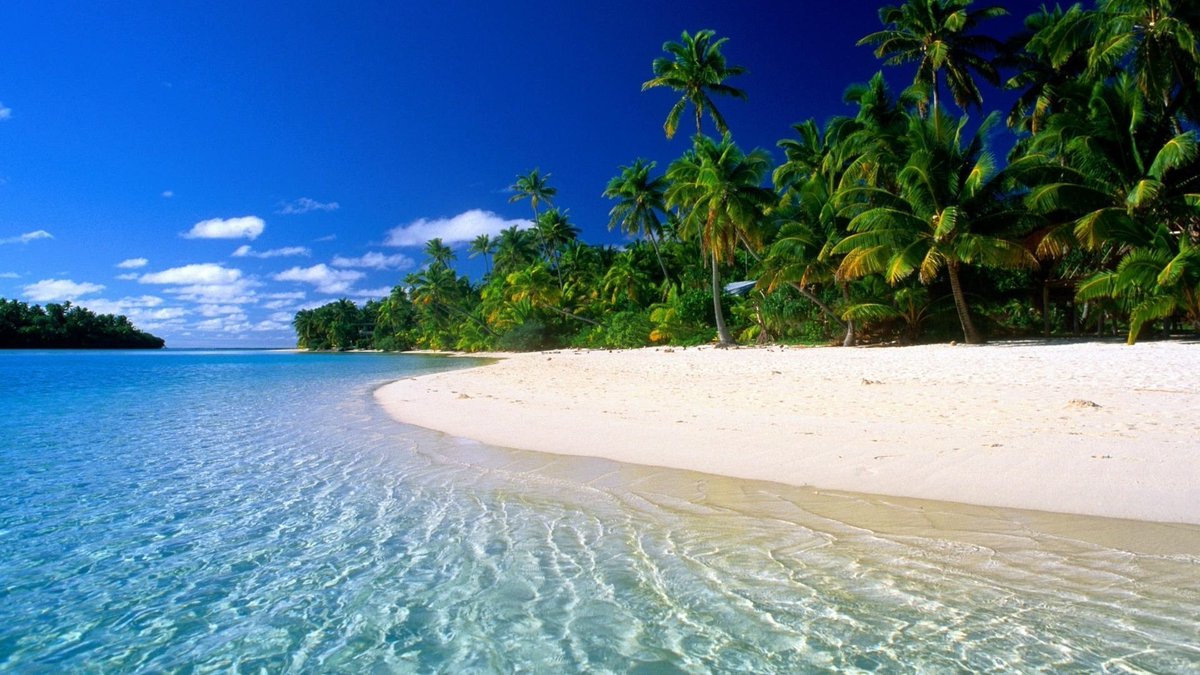 MauricioMozo5's tweet photo. Gonna spend a month in Margarita Island soon

Imagine a YouTube Mastermind there

Might be ideal https://t.co/F3FAjnB10W