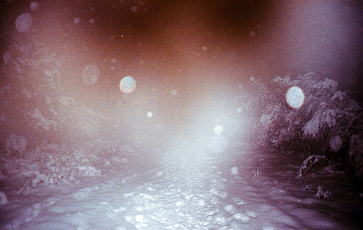 yrralFisherman's tweet photo. Been stuck in the train for 2h so I thought I'd share some pics I took with my film camera when I got lost in Iceland a couple years ago https://t.co/rTJfFLlTUo