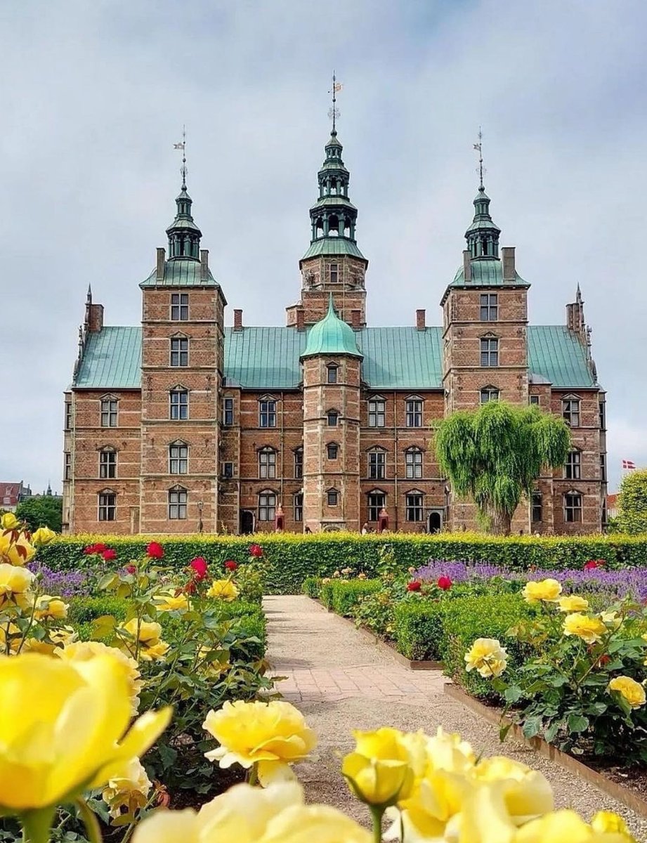 ScandinavianAE tweet picture