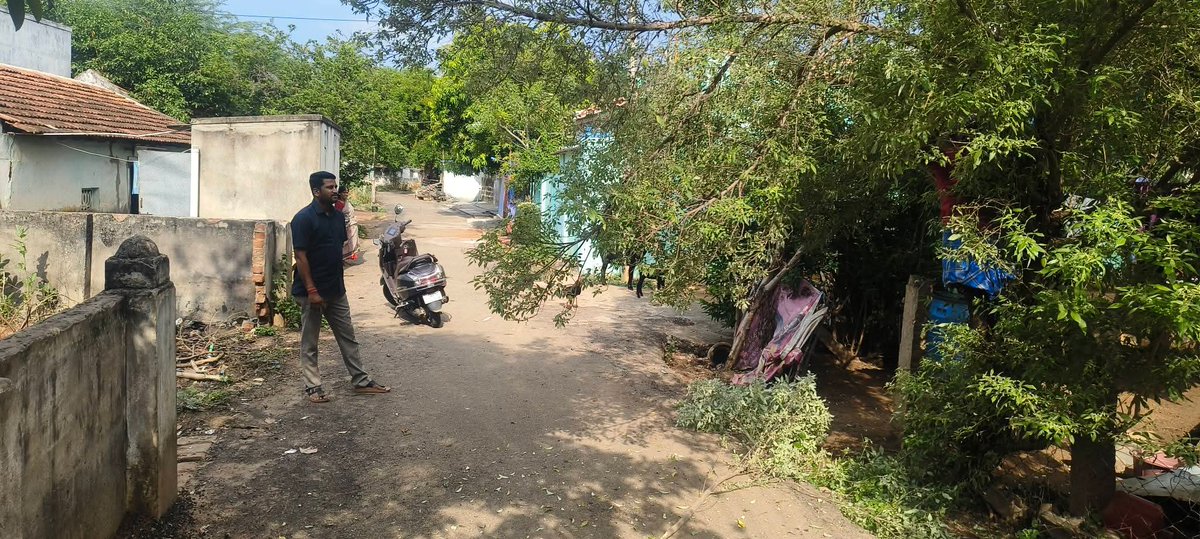 selva_sergent's tweet photo. இன்றைய தினம்(19-06-2026) எனது 7வது வார்டுக்குட்பட்ட உமையாள் நகர் முருகப்ப செட்டியார் ஊரணி வடகரை ஆகிய பகுதிகளில் ஆங்காங்கே செடிகள் மரக்கிளைகள் போன்றவை இடையூறாக இருப்பதாகவும் தெருவிளக்குகள் பழுதடைந்து இருப்பதாகவும் பொதுமக்கள் கூறினார்கள் அதையடுத்து பேரூராட்சி ஊழியர்களை தொடர்பு கொண்டு அப்பணிகளை சரி செய்து கொடுத்தேன்.@AmitShah @BJP4India @BJP4TamilNadu @NainarBJP @narendramodi @NitinNabin @Shanmug68353210 @VinojBJP @blsanthosh