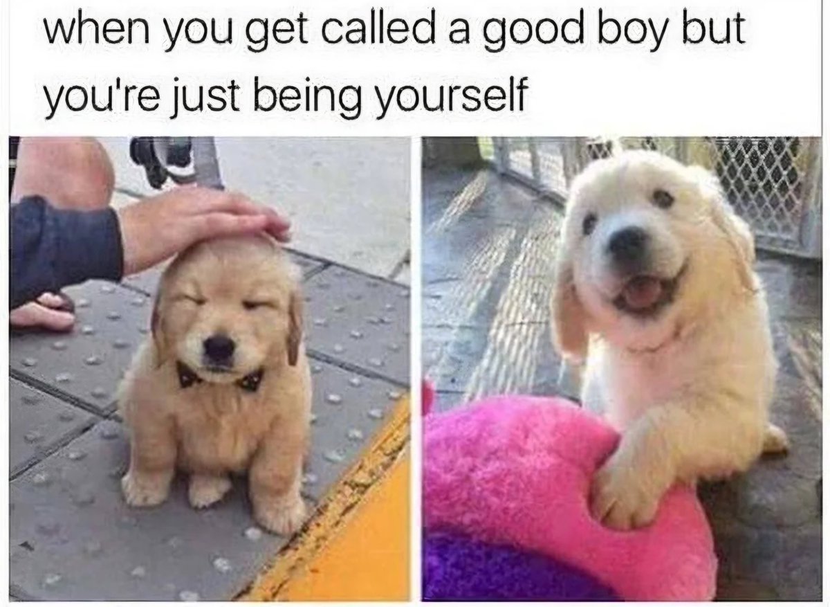 AlexJayZA's tweet photo. #FidoFriday https://t.co/lSA5wvJzEq