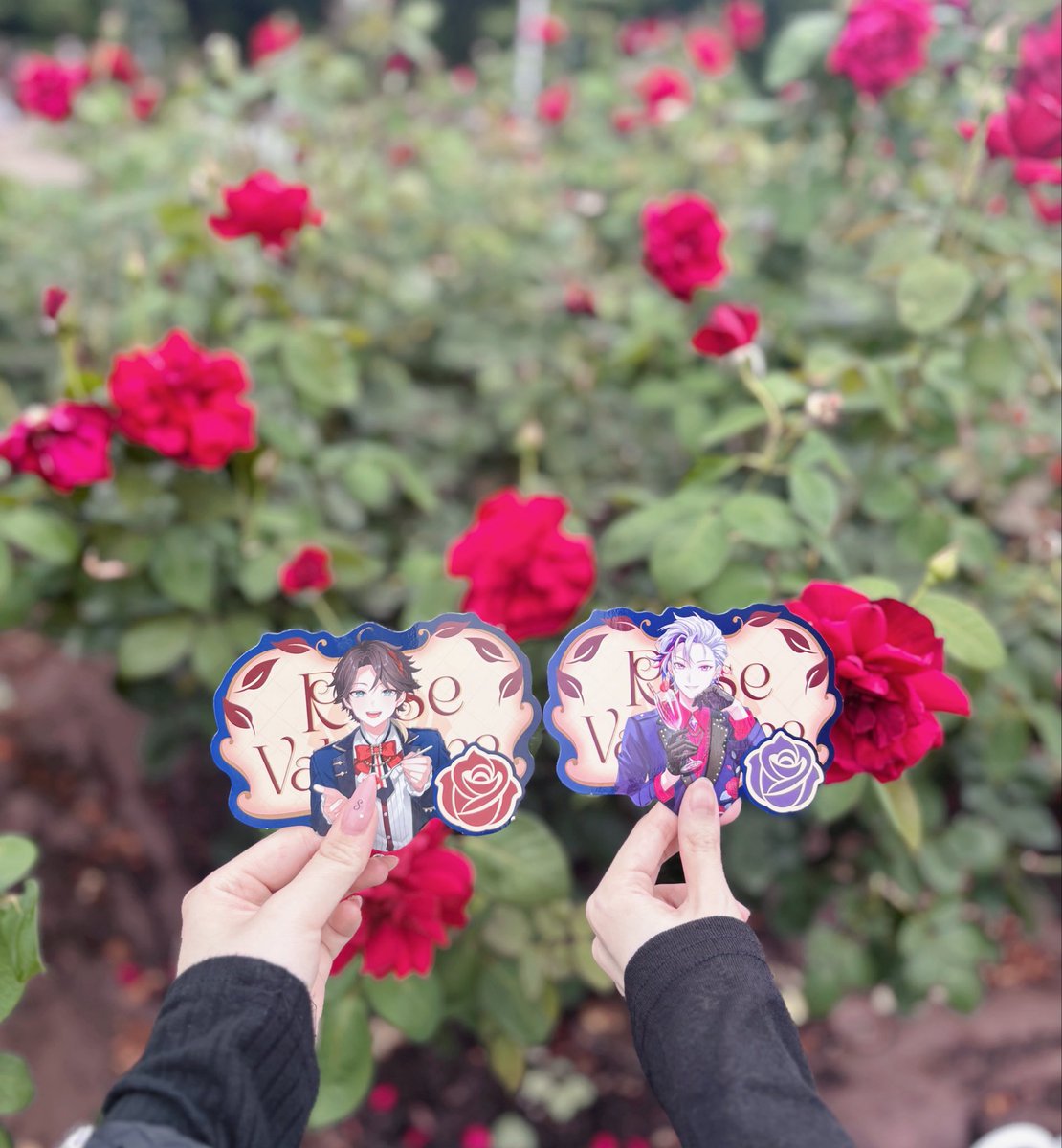 tsuka333c's tweet photo. 薔薇園🥀バレンタイングッズと相性良すぎた🤍🎶 https://t.co/XlQoPjqlux