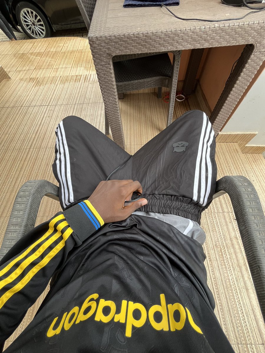 Deji the Platypus. tweet media
