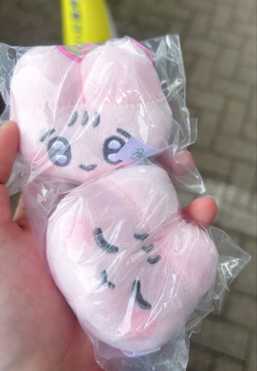 kojomiii's tweet photo. 央修くんに似てるな〜て思ってたぴえんなうさぎ無事引けた😻いっぱいお出かけ連れてくよ😻😻 https://t.co/LZtLmONT0P
