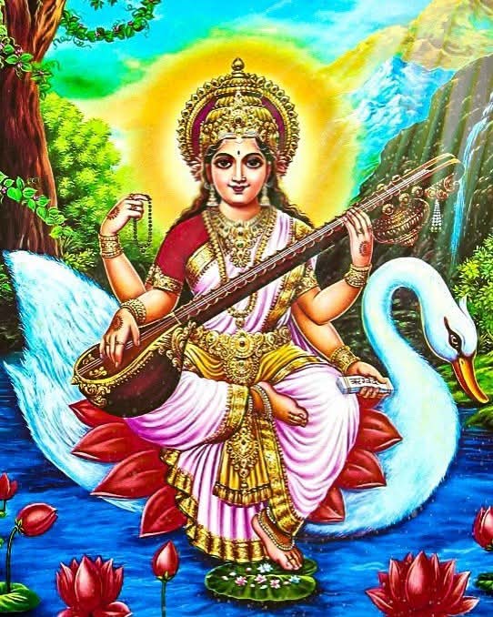 Bhavesh Gujrati tweet media