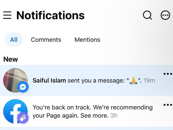 Facebook page recommendations restored after being suspended, screenshot showing active status
