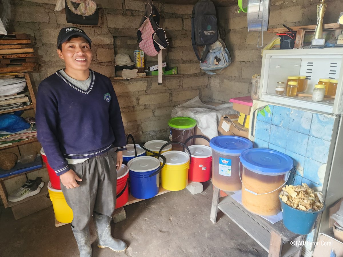 FAOEcuador's tweet photo. En el marco de este proyecto, acompañamos la caracterización de emprendimientos y cadenas de valor que impulsan jóvenes y mujeres agroemprendedoras del país.

Apostar por su talento es apostar por sistemas agroalimentarios más sostenibles. 🌱 https://t.co/VH8JZN60fs