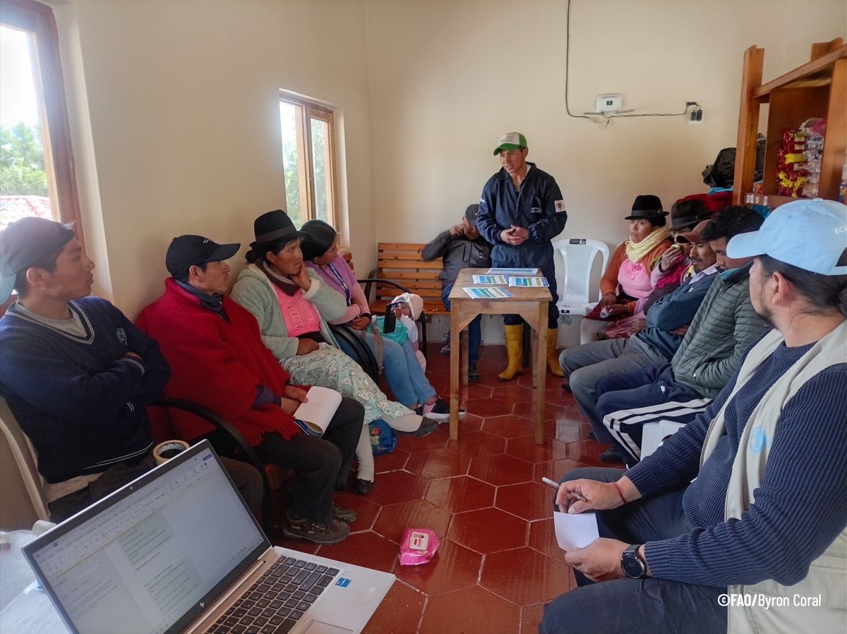FAOEcuador's tweet photo. En el marco de este proyecto, acompañamos la caracterización de emprendimientos y cadenas de valor que impulsan jóvenes y mujeres agroemprendedoras del país.

Apostar por su talento es apostar por sistemas agroalimentarios más sostenibles. 🌱 https://t.co/VH8JZN60fs