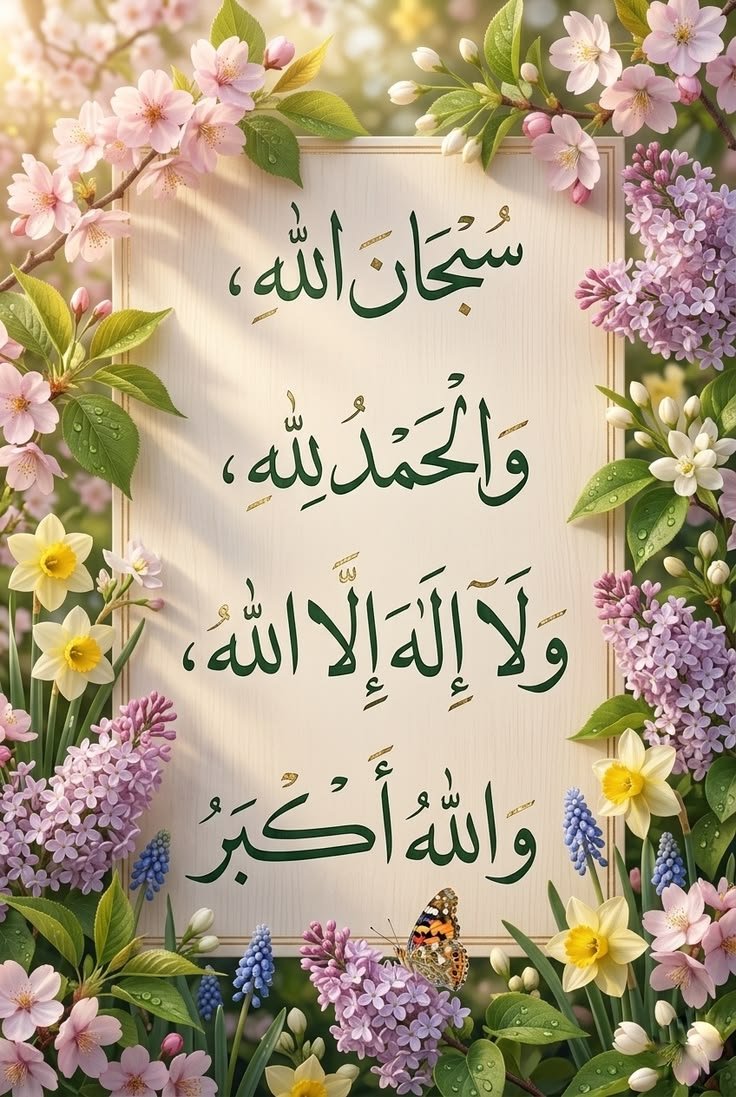 halima44436's tweet photo. https://t.co/2KGDhJdH1N