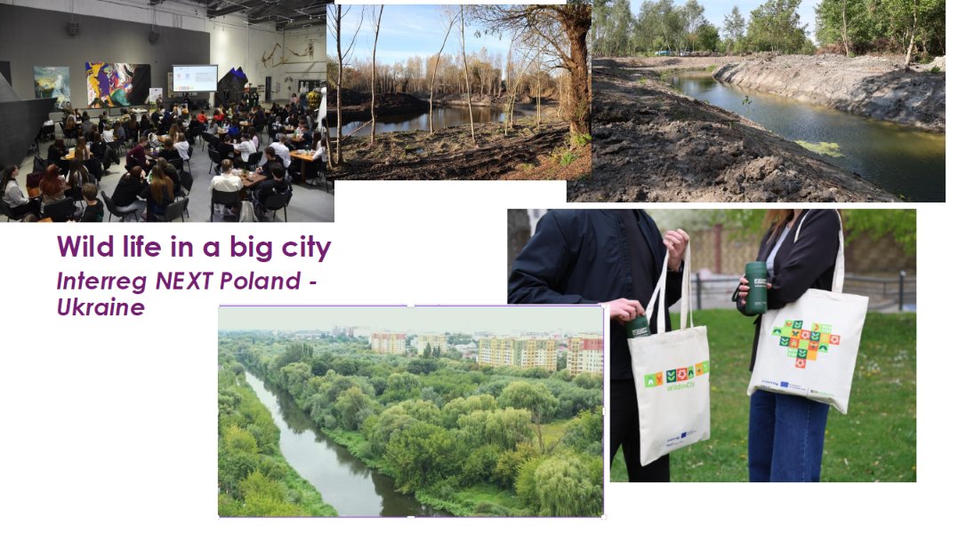 tesimnext's tweet photo. 🌿Our thematic event on biodiversity gathered yesterday ~ 70 #InterregNEXT project &amp; programme practitioners, NAs to explore innovative approaches to ecosystem restoration, env. monitoring, community engagement &amp; nature conservation.
Event materials 👉 https://t.co/KTCBfdqY0f https://t.co/bMDPx61YEG