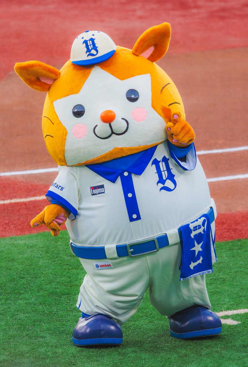 r_t_bay's tweet photo. 意外にどんなユニフォームも着こなしてしまうファッショナブルなたぬき https://t.co/UWY6LqAykd
