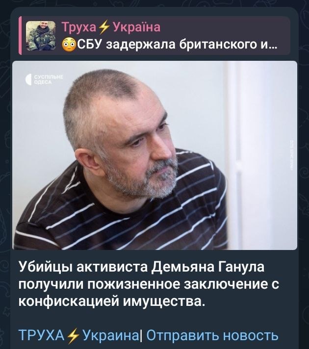 Alex tweet media