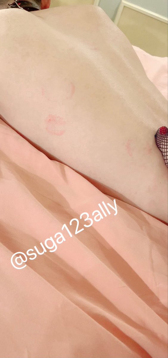 suga123ally's tweet photo. 本日はペット記念日🐶🐈
わんわんは3歳になりました。
パピーの頃に比べるとあまり���られなくなったけど、変わらずいつも私の側にいる🐶可愛くて仕方ない。 https://t.co/7lwFsUWJDj
