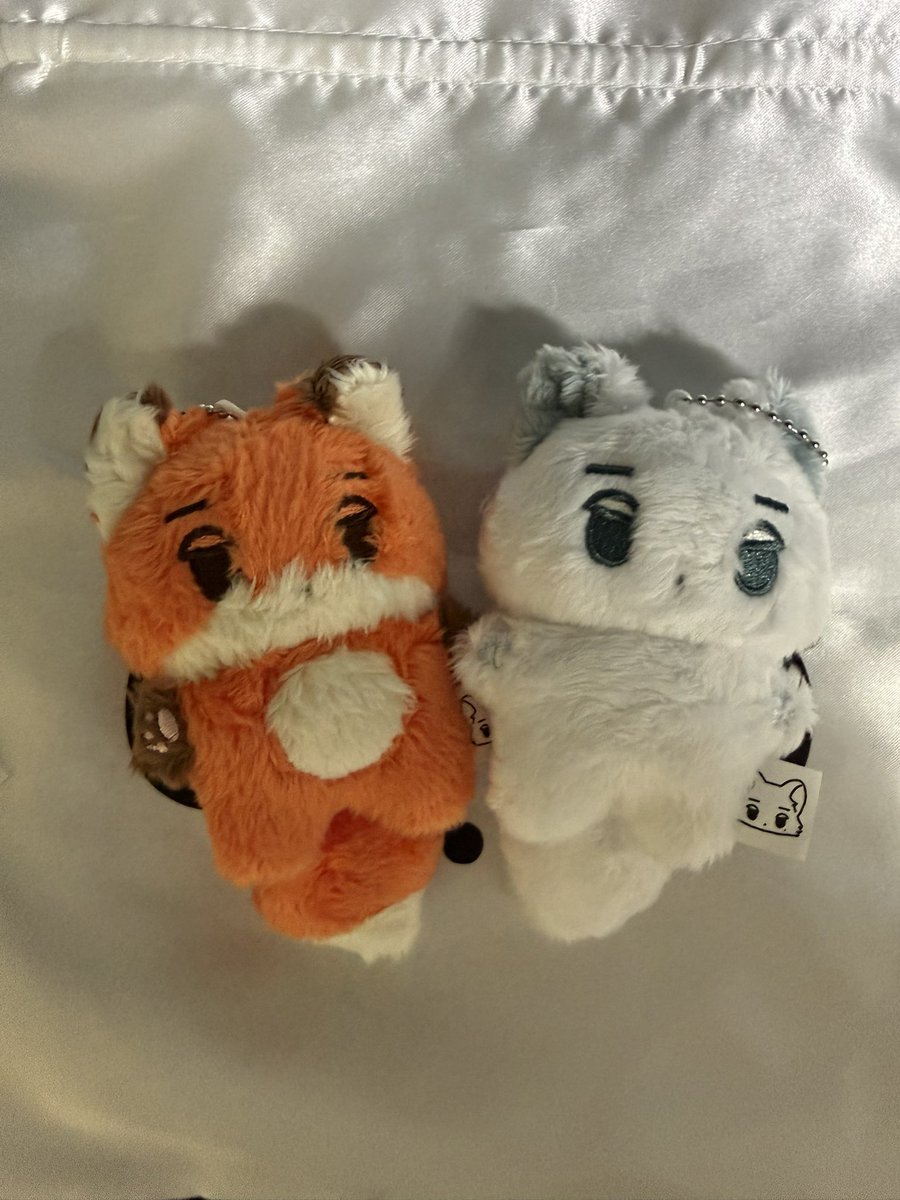 moongtaengee's tweet photo. 여우직직이도 드디어 도착!
북극직직이랑 같이 보니 두배 더 귀엽습니다... https://t.co/5LjoVqxBXp