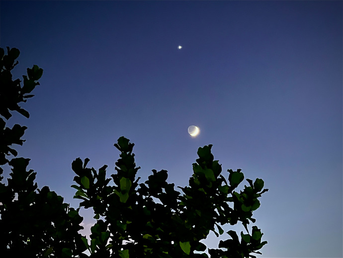 WilmarP10851006's tweet photo. Staring at the same moon , sharing the same breeze—distance can’t dim the warmth between us. Miss you, my person. https://t.co/IDLWSxNBDq