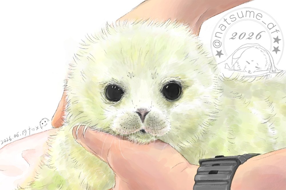 natsume_df's tweet photo. ミゾレちゃんの三回忌🌈🦭
ミゾレちゃんに一目惚れした想い出の写真でお絵描きしました
キミのことを想うと今でも涙が止まらないんだけど、たくさんのありがとうと可愛いと大好きをいっぱい詰め込んで描いたよ🥰
お空でも幸せに過ごしていてね！ずっとずっと大好きだよ💞

#ミゾレ大好きだよ 🦭💕 https://t.co/LgRf0g9yfA