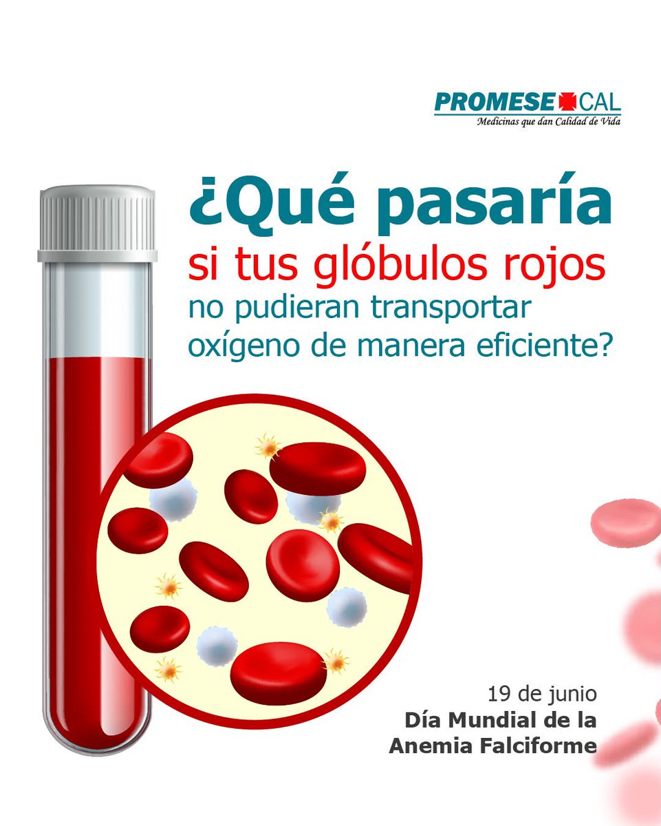 PromesecalRD's tweet photo. La anemia falciforme requiere diagnóstico temprano, seguimiento médico y concienciación para mejorar la calidad de vida 🩸.

En el Día Mundial de la Anemia Falciforme, en PROMESE/CAL promovemos la información y el cuidado de la salud. https://t.co/THs7DvB37N