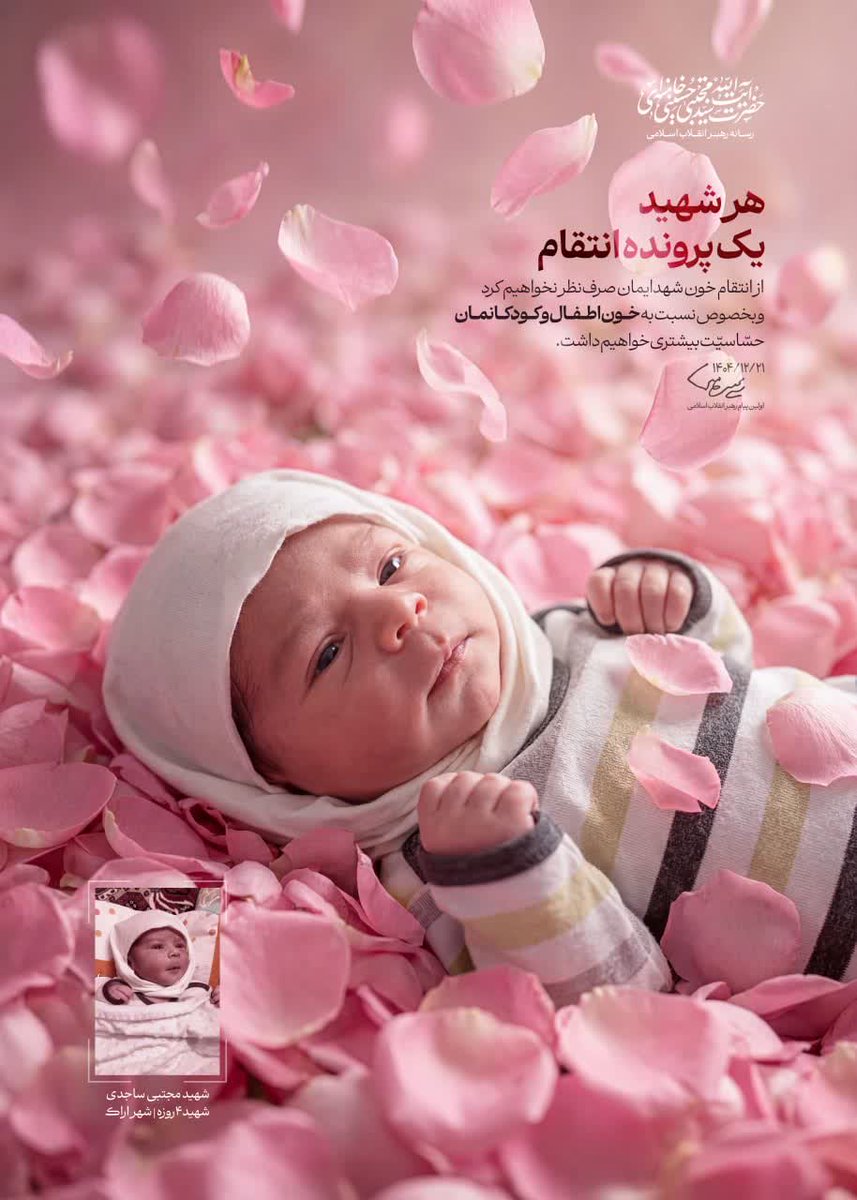 محمدحسین چاوشی🎒 tweet media