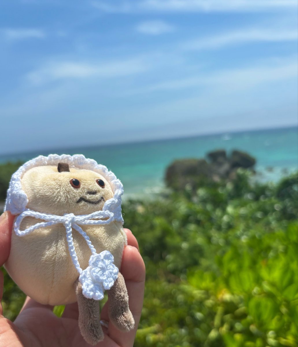 nuoooooopokemon's tweet photo. 洋なしちゃん沖縄の海をずっと見てたね
#ぬい撮り
#ぬい活
#datsu https://t.co/NTHwrnlQZ5