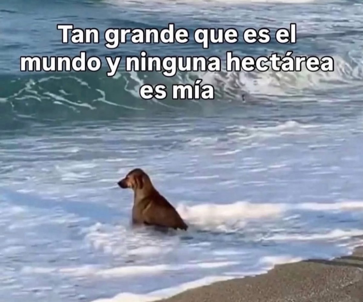 skereunpesado's tweet photo. https://t.co/4hUPT8HKWi