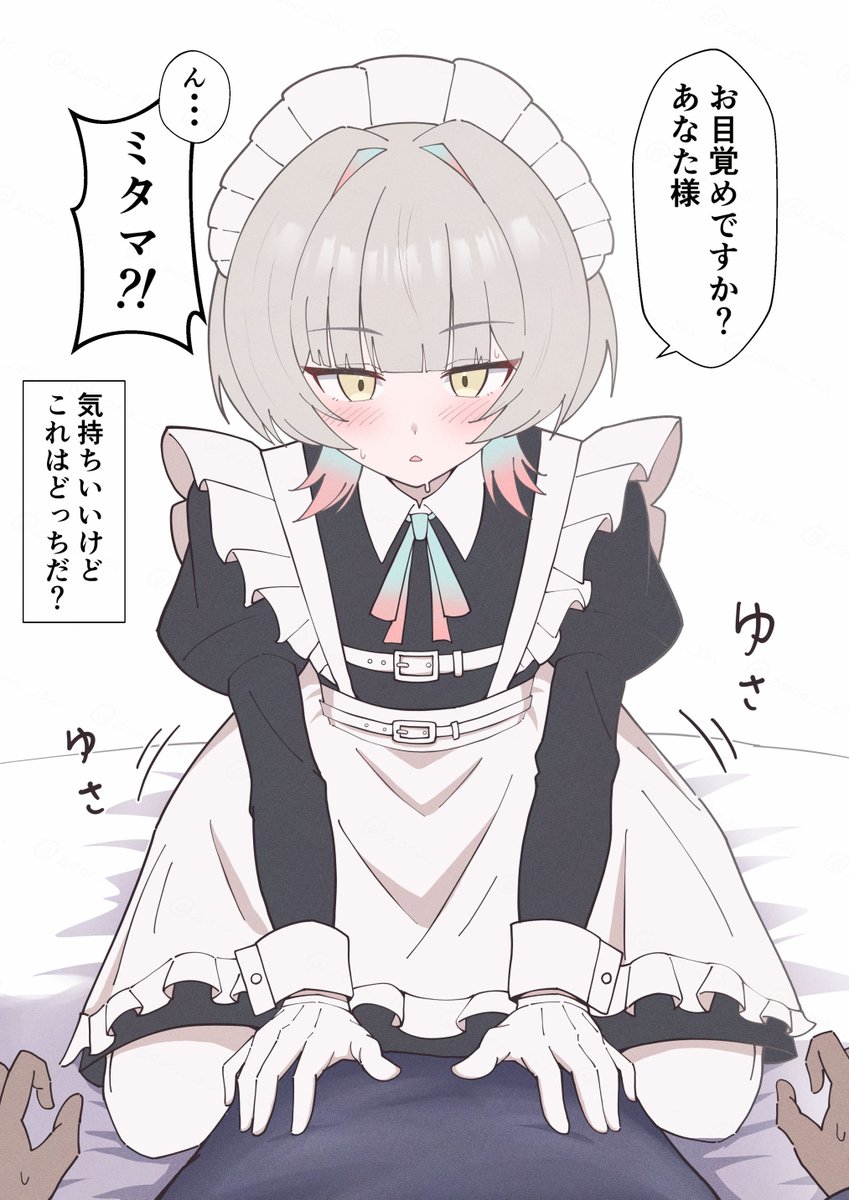 zozozo_sub's tweet photo. シュレディンガーの暁記ミタマ https://t.co/h9tX7yhUDt