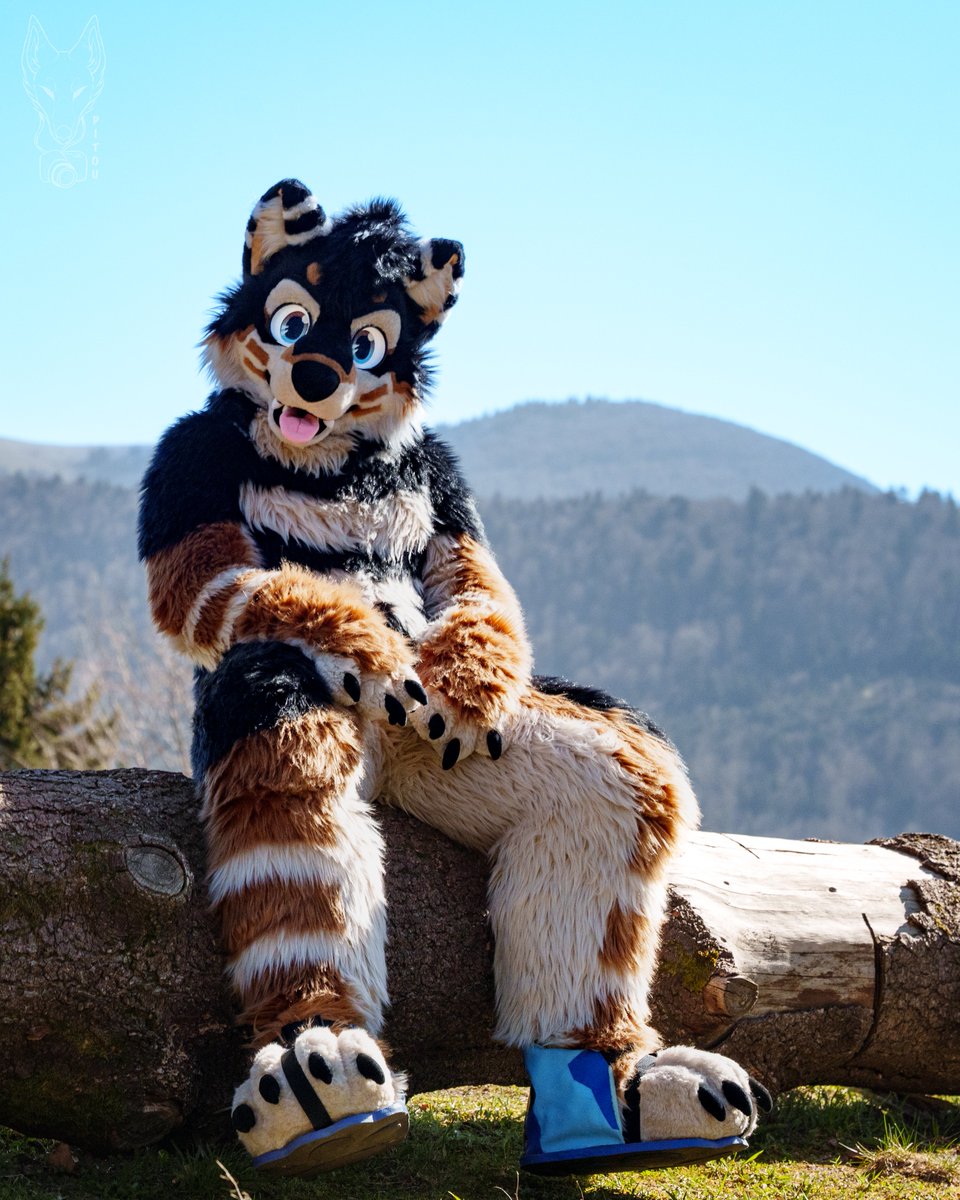 RayBleiz's tweet photo. Walk ?! =3

📷 @Pitou_Rikou 
🪡 @wolf_daz 

#fursuitfriday https://t.co/yqcAU4kdUs