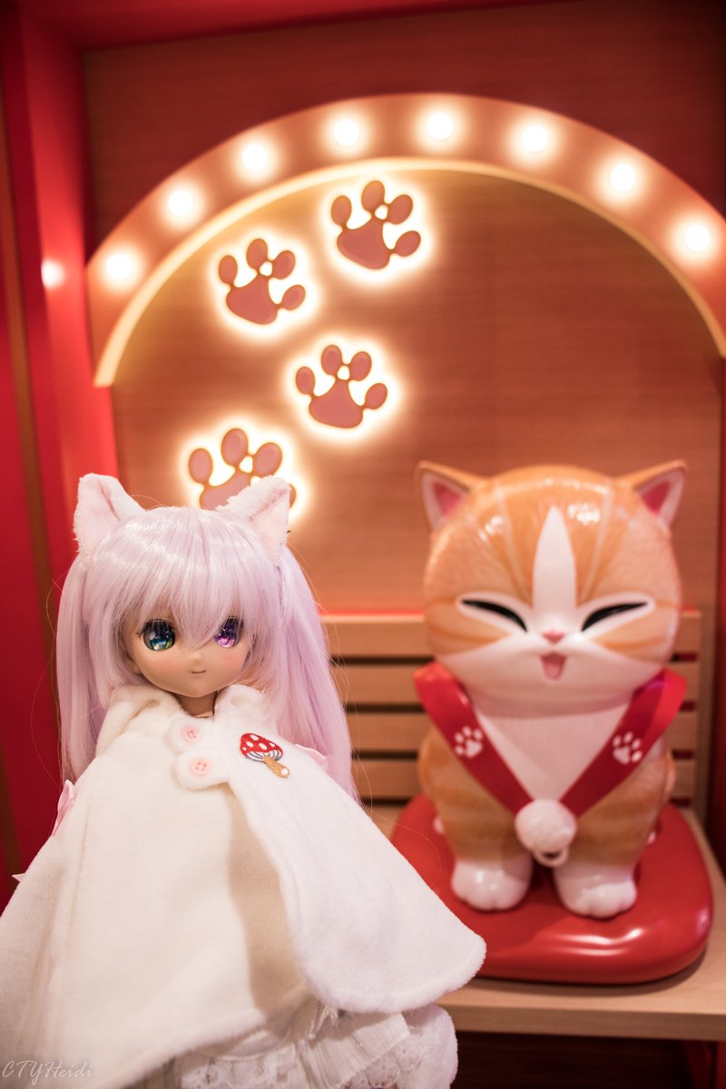 heidicty's tweet photo. #今夜のドール撮影120分一本勝負
今夜のお題は【ドールのみみ】

#深夜のドール撮影60分一本勝負 #MDDはいいぞ #DCH17 #ドリームチョイス #ドルフィードリーム #うちのこかわいい #うちの子かわいい https://t.co/cdecKg5kPr