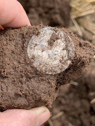 scottylar's tweet photo. If there are any farmers in #Lichfield #Tamworth or surrounding areas who’d consider allowing me to metal detect some land, please get in touch. I’ll abide by all conditions &amp; offer to pay a daily fee. I’d be forever grateful. Thank you #harvest26 #Farm365 #teamdairy 🚜🌽🌾🥕🫛🐄 https://t.co/NPiEYJ76f4