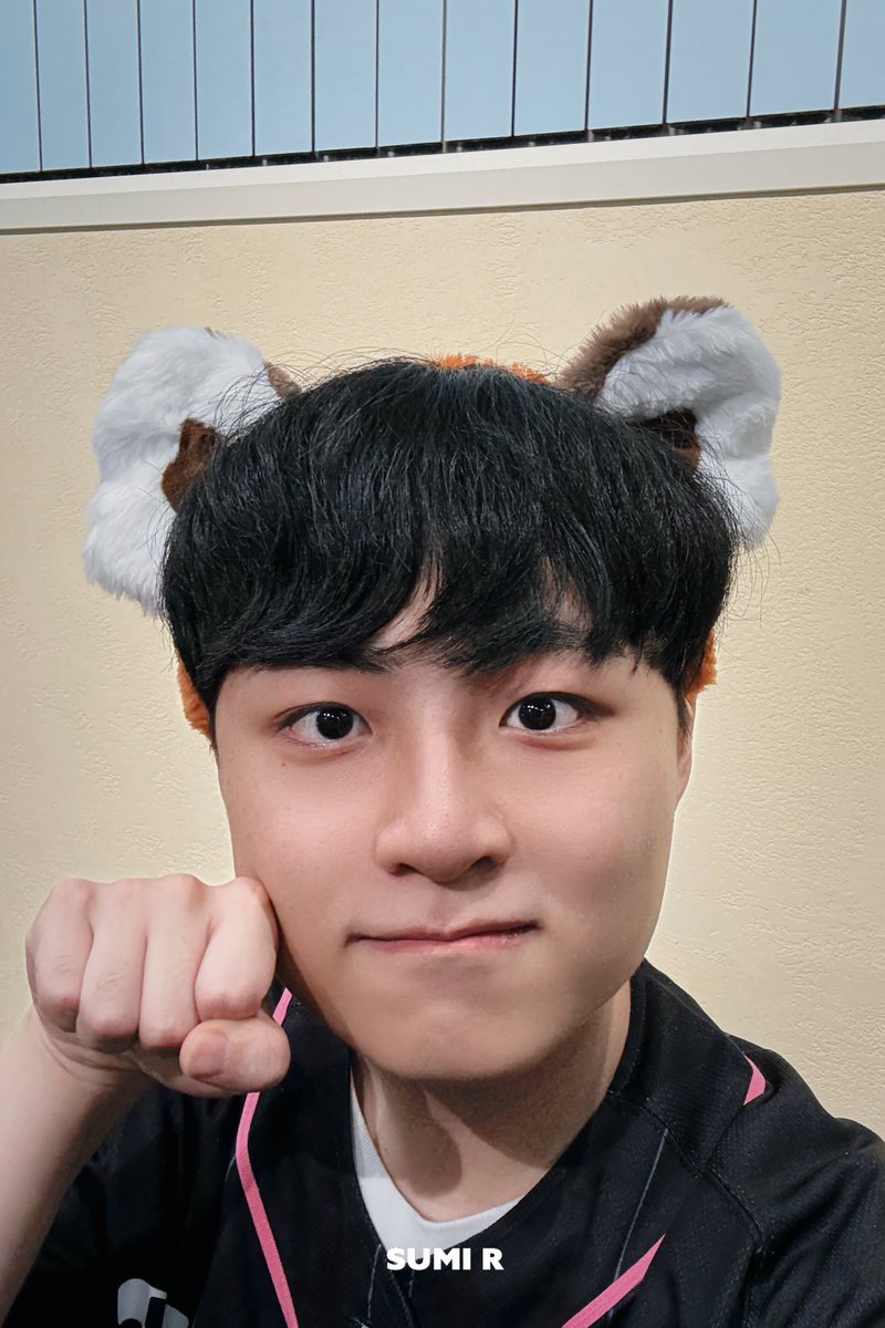 _Sumi_R_'s tweet photo. 레서판다도 판다인데☺️

#ShowMaker #쇼메이커 https://t.co/hc8fwEourx