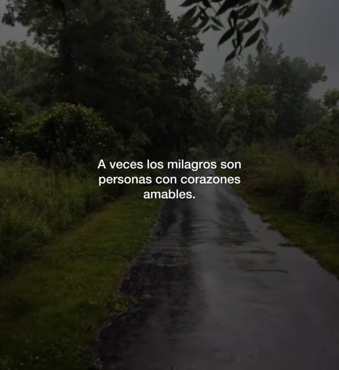 dilocondibujos_'s tweet photo. A veces los milagros son personas ❤️‍🩹 https://t.co/s7ehcwlJ0I