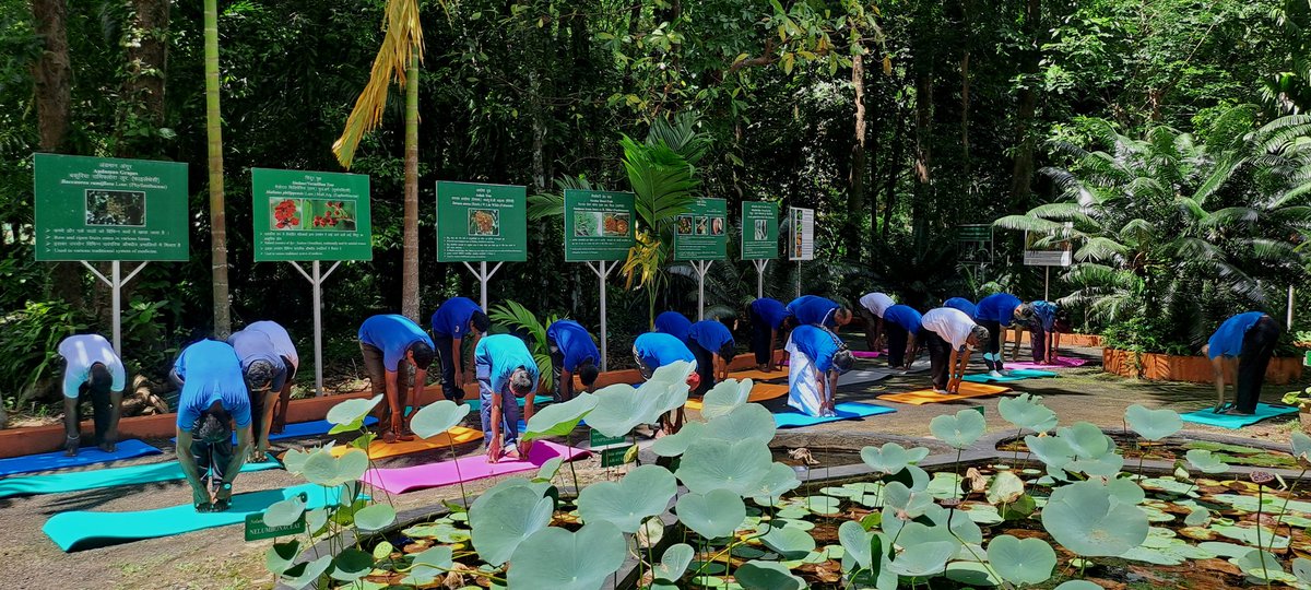 bsi_moefcc's tweet photo. As part of the celebrations of the 12th International Day of Yoga–2026, the Botanical Survey of India (BSI), Andaman & Nicobar Regional Centre (ANRC), organized a yoga session in accordance with the Common Yoga Protocol.

The programme commenced with the plantation of a Rudraksha sapling by the Regional Head, Dr. Lal Ji Singh, symbolizing the commitment towards environmental conservation and holistic well-being.

All officials of the Regional Centre actively participated in the yoga session, which was ably demonstrated by Shri Swatantra Prakash. The event highlighted the significance of yoga in promoting physical fitness, mental wellness, and a harmonious lifestyle.

#InternationalDayofYoga2026 #YogaForWellbeing #IDY2026 #BotanicalSurveyOfIndia #BSI #YogaDay #RudrakshaPlantation #AndamanAndNicobar