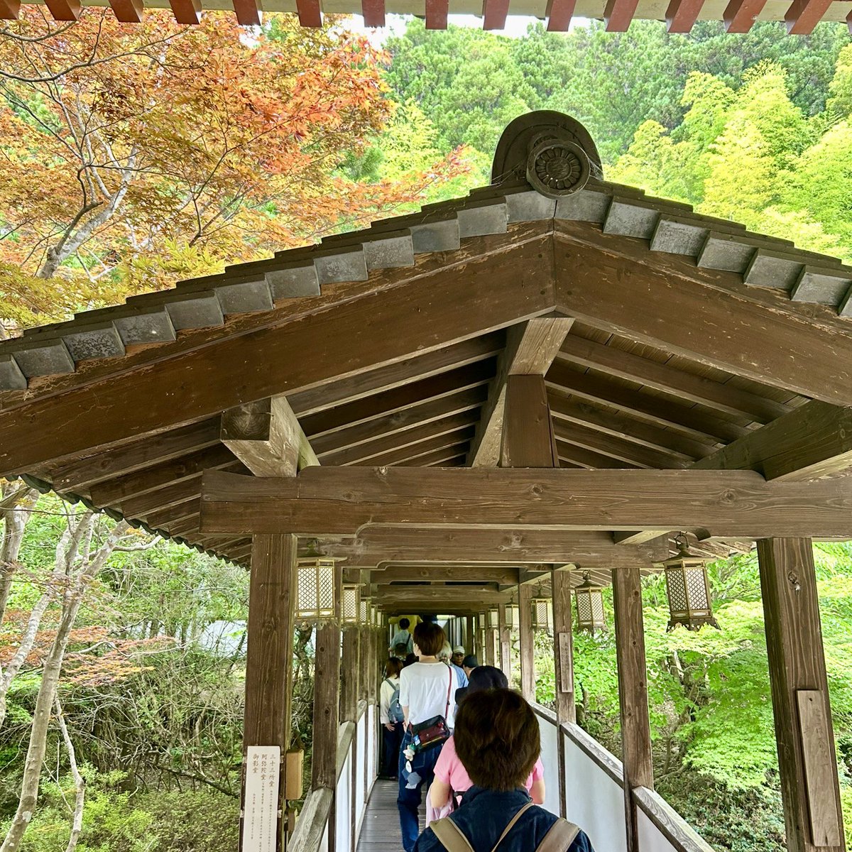 kyuanji's tweet photo. 【明日からあじさいうかべ】
久安寺です。

あじさい咲き具合はまだ8分咲き。
6月20日〜30日
終日あじさいうかべ
10時〜14時　文化財特別公開　阿弥陀堂

6月6日〜7月5日1ヶ月限定
久安寺「あじさい切り絵ご朱印」うす紫色　1000円

#久安寺
#池田市
#関西花の寺
#高野山真言宗
#あじさいうかべ https://t.co/tZtfPOYeiV