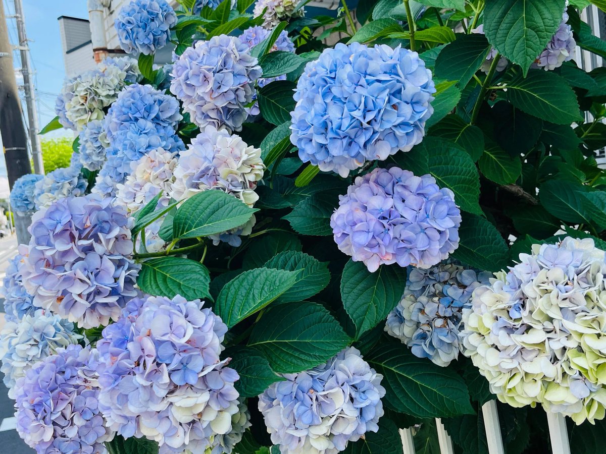 _kkckt's tweet photo. https://t.co/2Hl8ZCNsxf